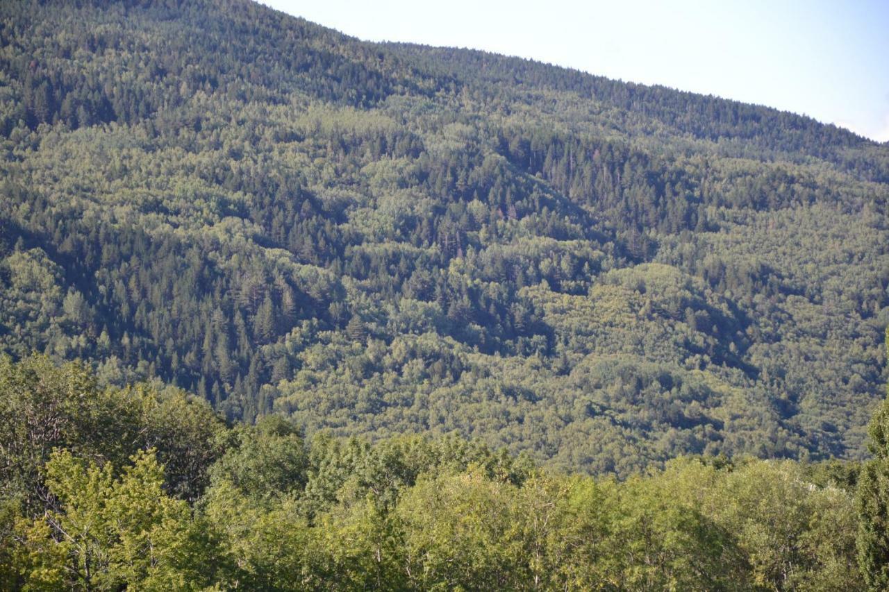 Casa Rural Borda Marianet 세르러 외부 사진